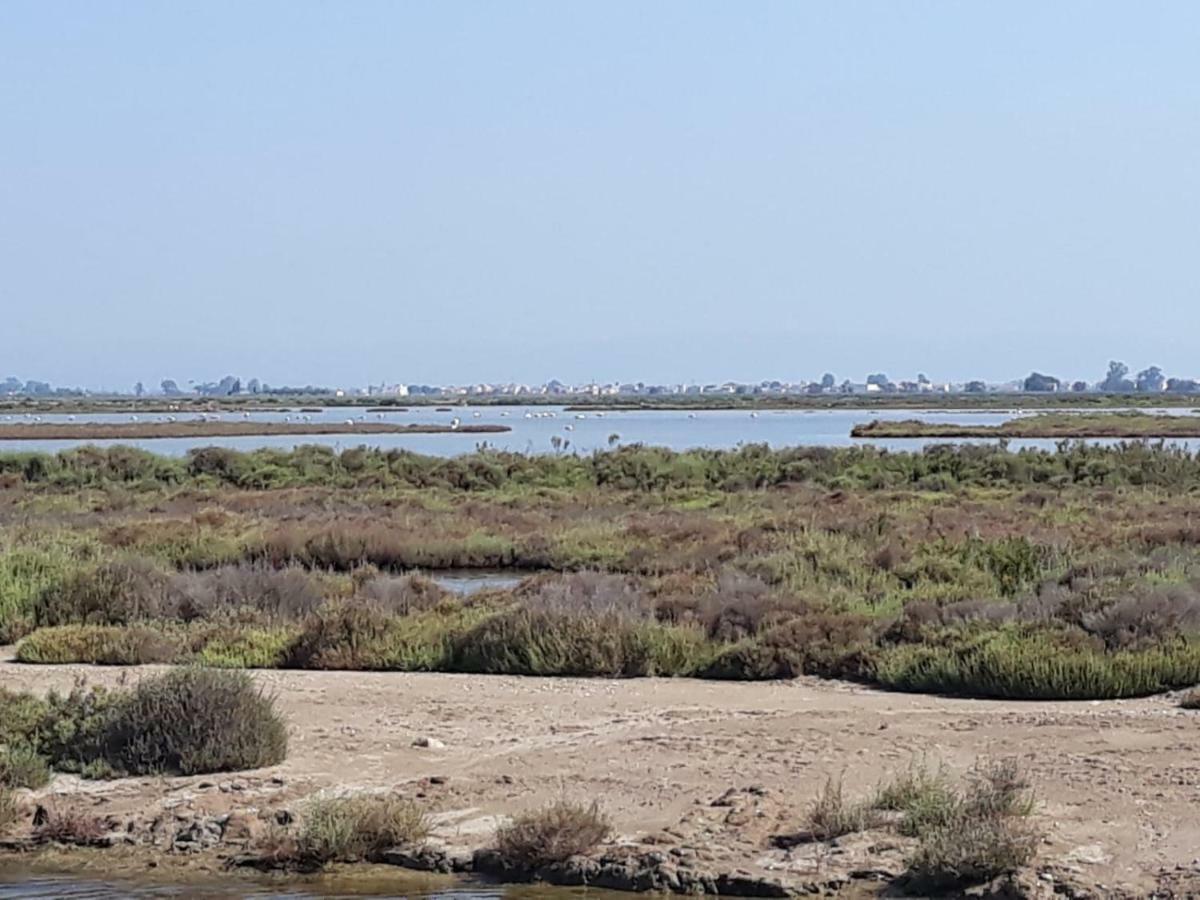 L'Apartament De La Iaia سانت جاومي د إنفيجا المظهر الخارجي الصورة